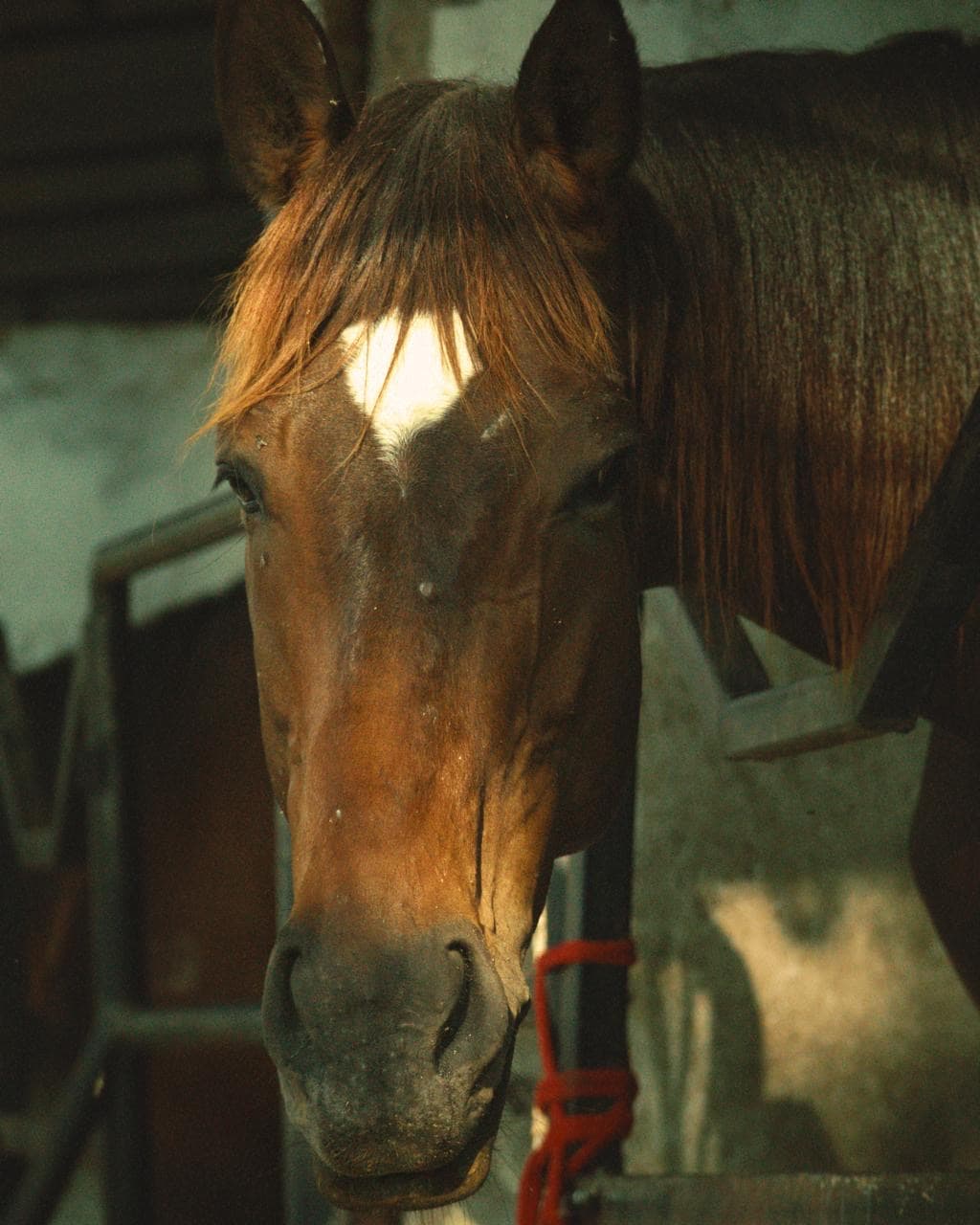 Stable Moments