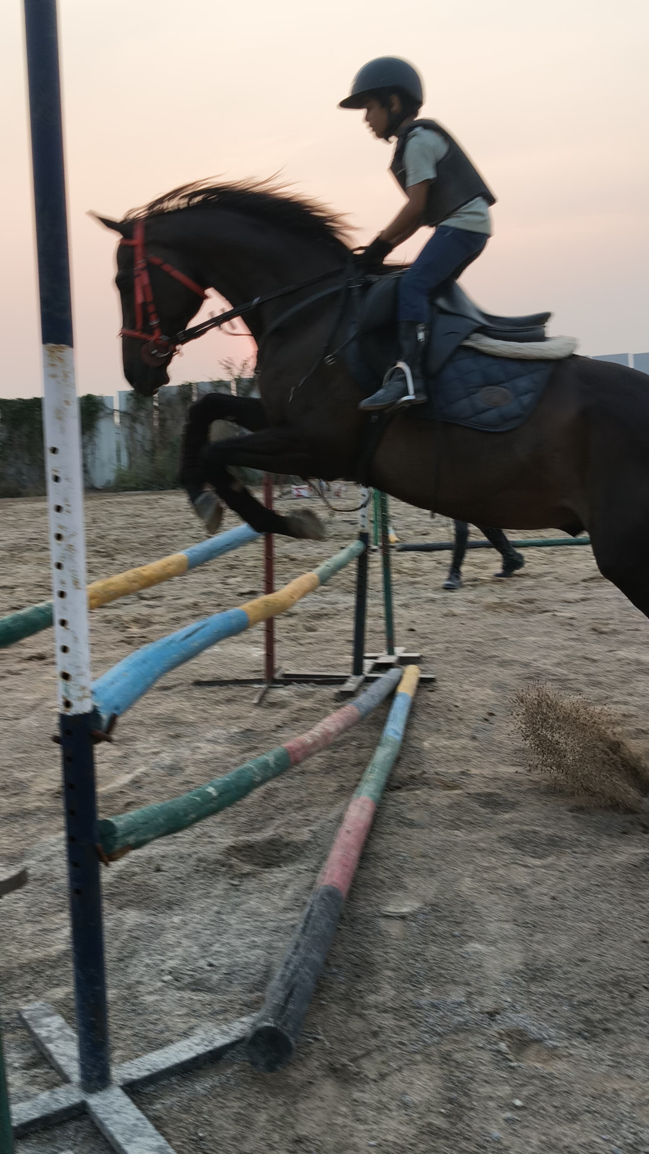Training Session