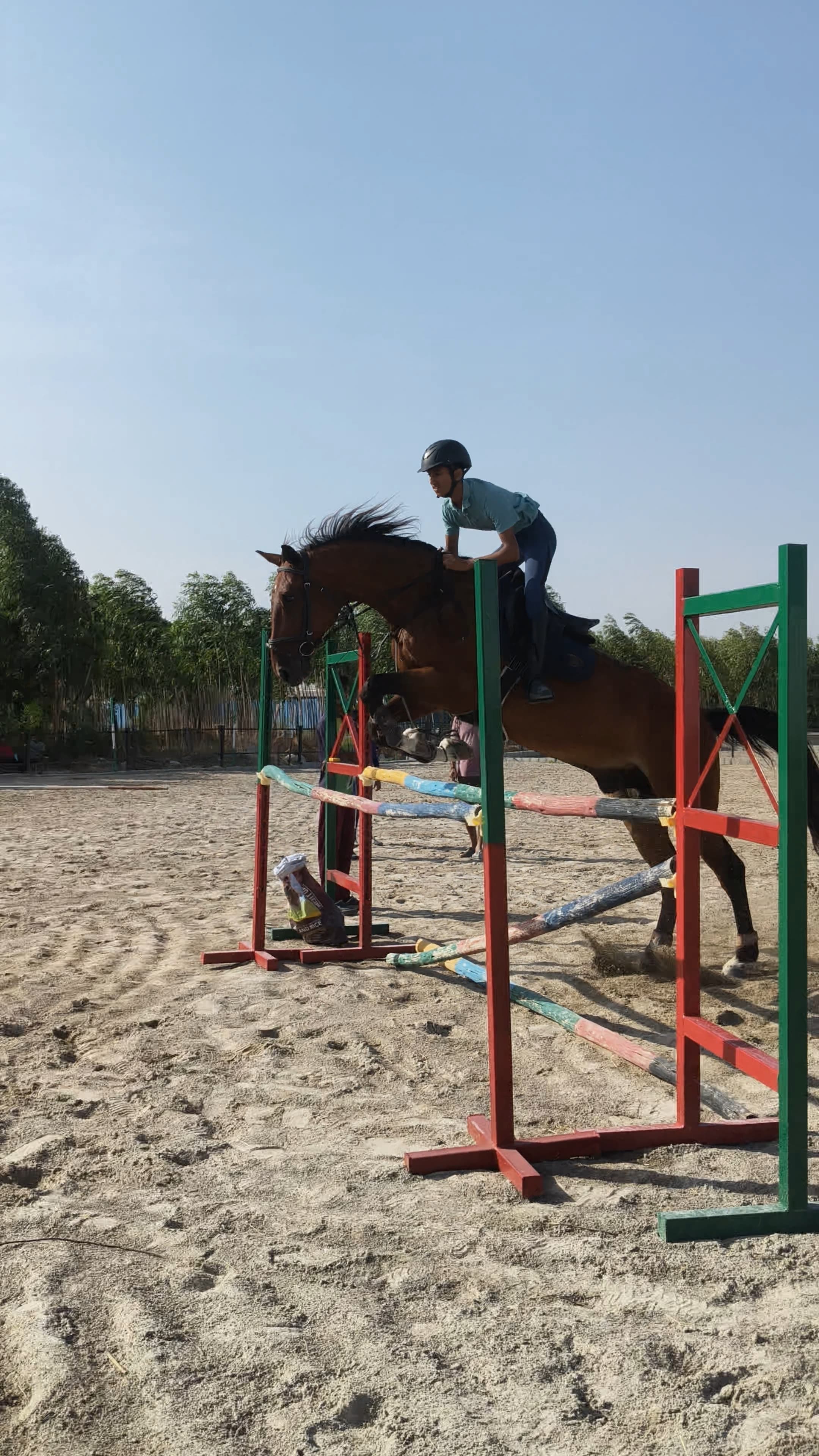 Show Jumping & Dressage