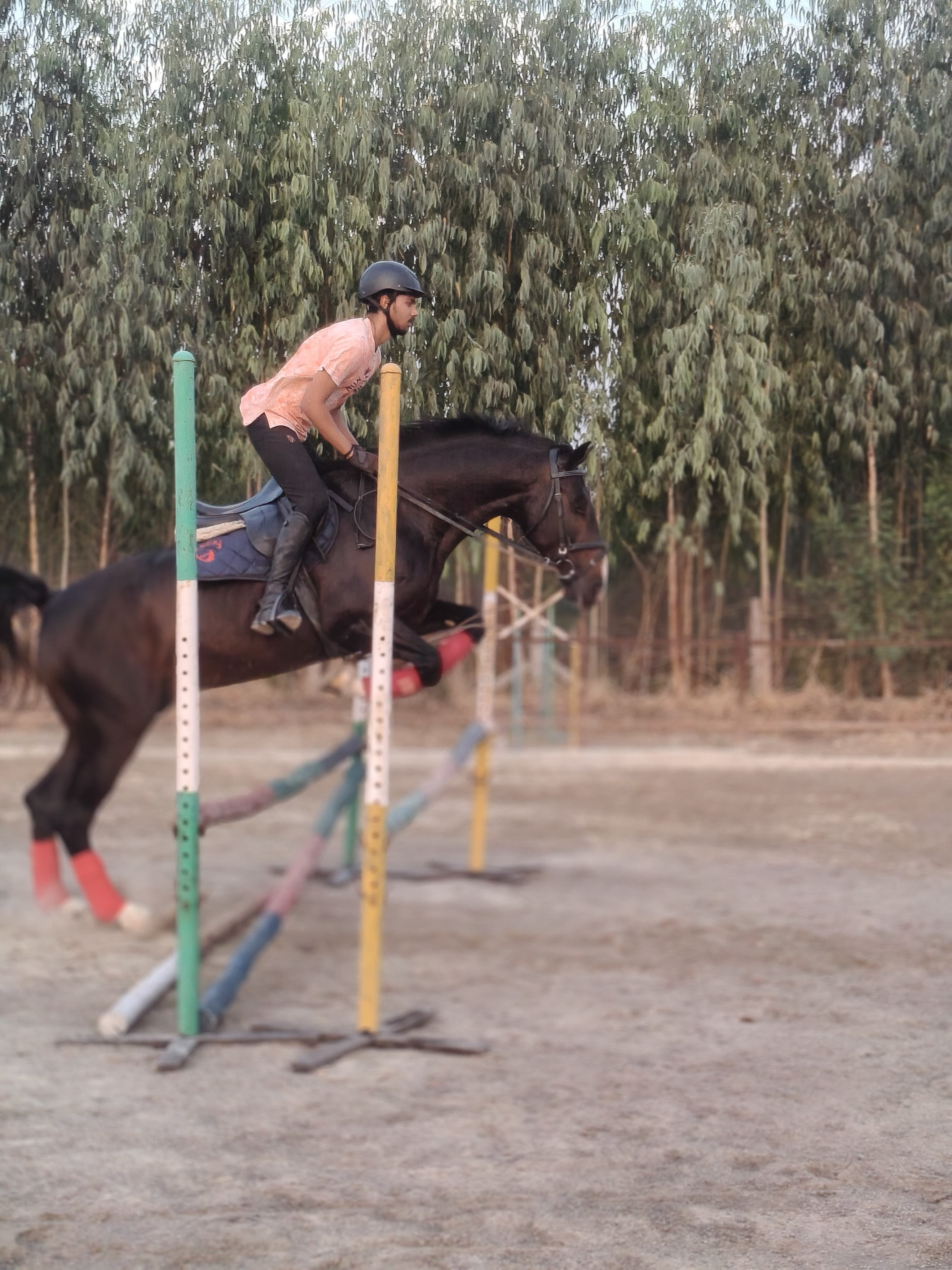 Rider Training