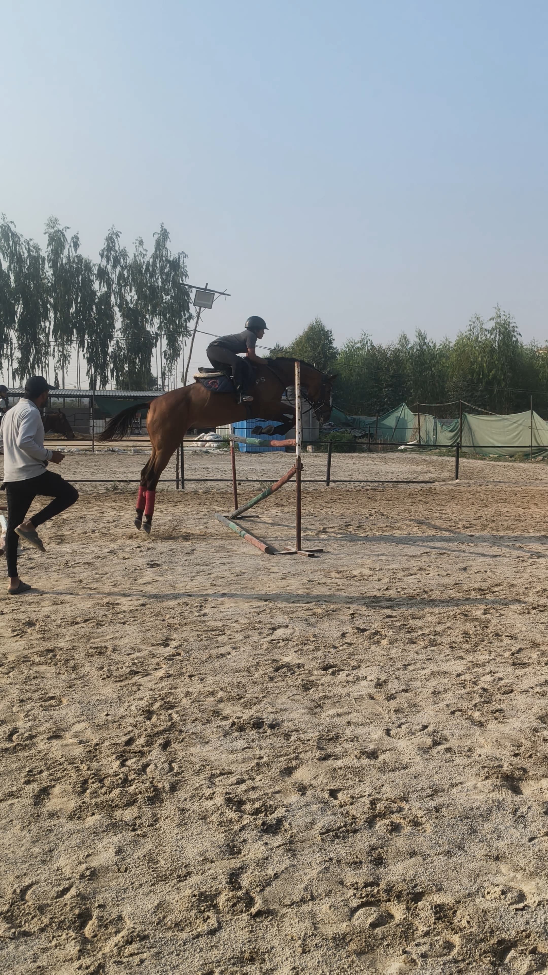 Sunset Trot