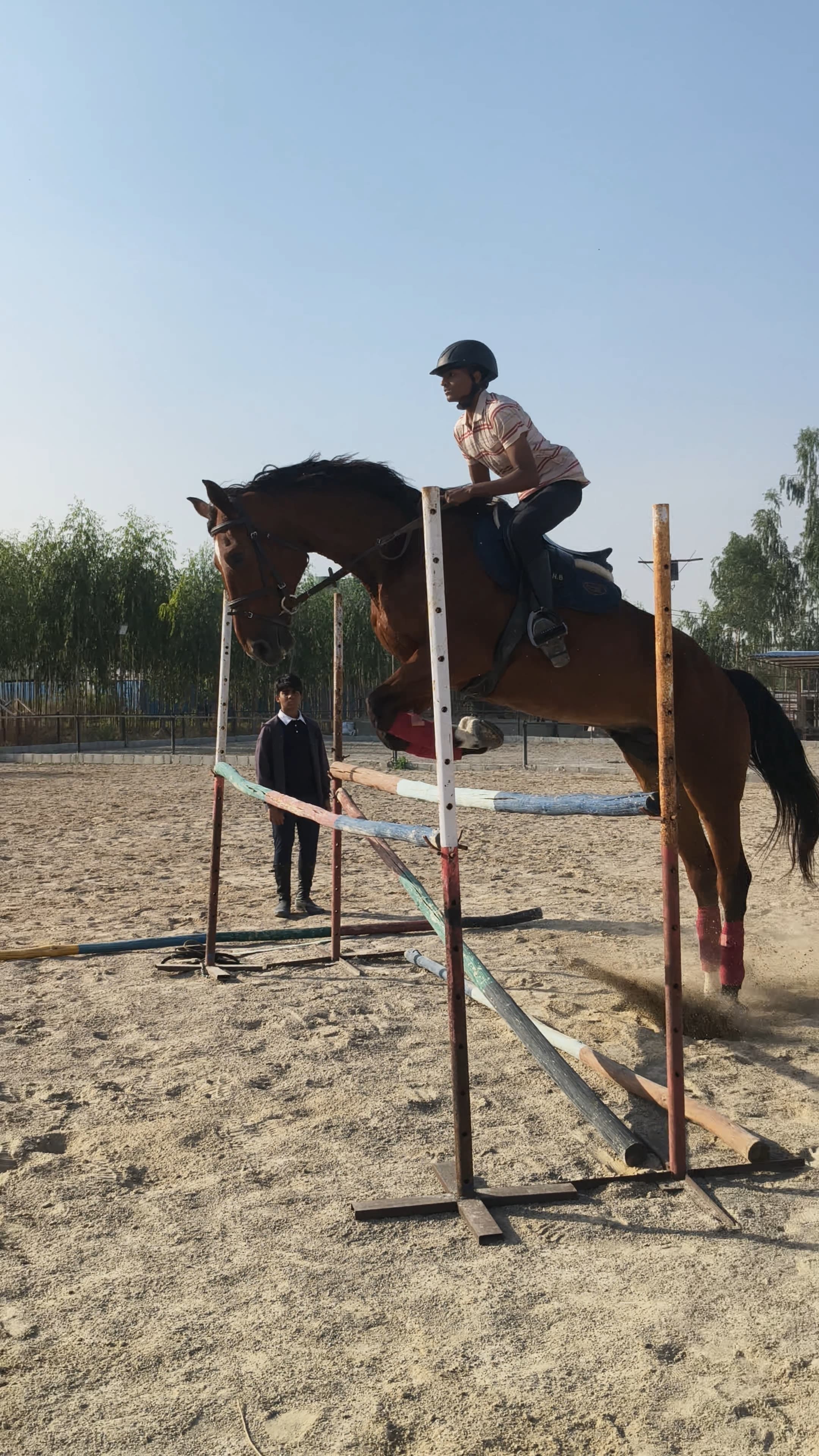 Jump Training